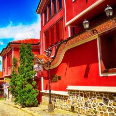 Architecture Church Yard Green Fir Tree Photography Scenery Backdrop Streetscape Theme Banner NTM-373