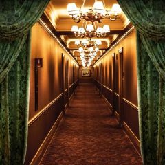 Indoor Light Door Green Curtain Photography Scenery Backdrop Indoor Theme Banner NTM-375