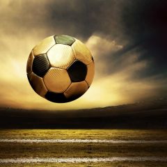 Sport Grassland Photography Scenery Backdrop Sports Theme Banner NTM-381