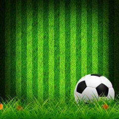 A Ball Grassland Green Wall Photography Scenery Backdrop Sports Theme Banner NTM-401