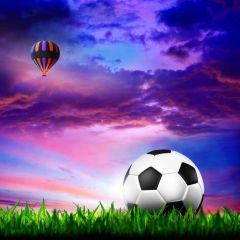 Sports Hot Air Balloon Sky Grass Photography Scenery Backdrop Sports Theme Banner NTM-404