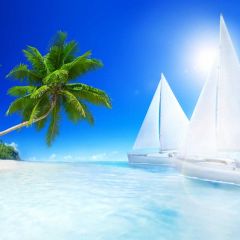 Seaside Ship Palm Tree Sea Photography Scenery Backdrop Ocean Theme Banner NTM-410