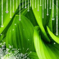 Diamonds Green Leaves Photography Scenery Backdrop Birthday Party Theme Banner NTM-418