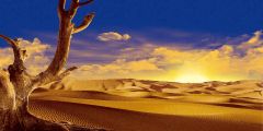 Scorched Desert Stage Performance Background Dance Show Backdrop SRB-0090