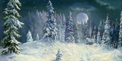Winter Night Forest Stage Performance Background Dance Show Backdrop SRB-0470