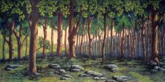 Fantasy  Forest Stage Performance Background Dance Show Backdrop SRB-0481