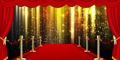 Pillar Gold Light Curtain Stage Performance Background Dance Show Backdrop SRB-1095