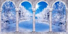 Cypress Arch Snow Stage Performance Background Dance Show Backdrop SRB-1259