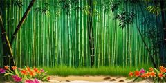 Jungle Beach Bamboo Flowers Stage Performance Background Dance Show Backdrop SRC-0273