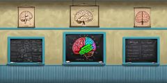 Medical School Blackboards Wallcloth Stage Performance Background Dance Show Backdrop SRC-0390