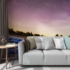 Stars Field Forest Fabric Wallcovering Seamless Wallpaper Wall Decoration WCV-0094