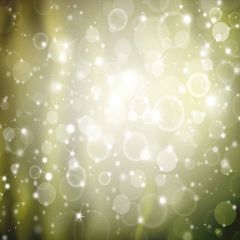 Sparkling Spot Photography Scenery Backdrop Starlight Shine Theme Banner YMY-009