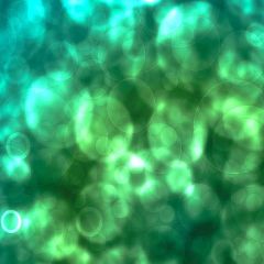 Light And Shadow Photography Scenery Backdrop Starlight Shine Theme Banner YMY-015