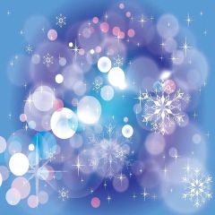 Dream Winter Snowflakes Photography Scenery Backdrop Christmas Theme Banner YMY-018