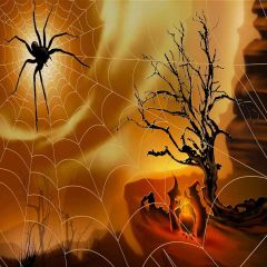 Scare Spider Photography Scenery Backdrop Halloween Theme Banner YMY-022