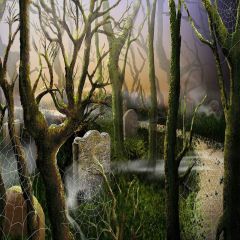 Fearsome Woods Photography Scenery Backdrop Halloween Theme Banner YMY-025