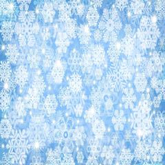 Pure Snowflakes Photography Scenery Backdrop Snow Theme Banner YMY-031