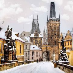 Snowy Building Photography Scenery Backdrop Streetscape Theme Banner YMY-035