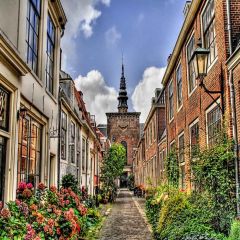 Pretty Aisle Photography Scenery Backdrop Streetscape Theme Banner YMY-038