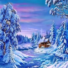 Fabulous Scenes Photography Scenery Backdrop Snow Theme Banner YMY-055