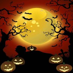 Happy Halloween Photography Scenery Backdrop Halloween Theme Banner YMY-061