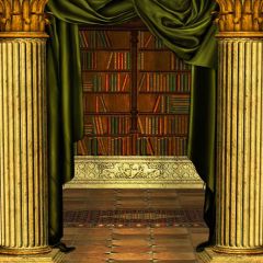 Classical Bookshelf Photography Scenery Backdrop Arches or Pillars Theme Banner YMY-072