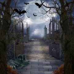 Terrible Night Photography Scenery Backdrop Halloween Theme Banner YMY-075
