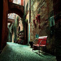 Casual Street Photography Scenery Backdrop Streetscape Theme Banner YMY-084