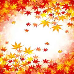Falling Maple Leaf Photography Scenery Backdrop Autumn Theme Banner YMY-088