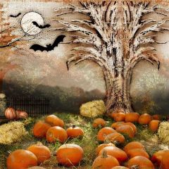 Fearsome Night Photography Scenery Backdrop Halloween Theme Banner YMY-104