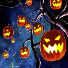 Terrible Pumpkins Photography Scenery Backdrop Halloween Theme Banner YMY-111