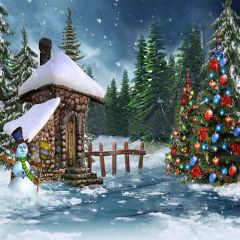 Outdoor Christmas Photography Scenery Backdrop Christmas Theme Banner YMY-115