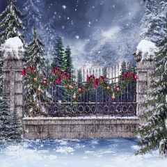 Decorative Iron Fence Photography Scenery Backdrop Christmas Theme Banner YMY-117