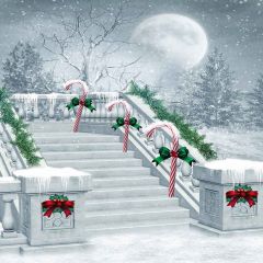 Beautiful Stairs Photography Scenery Backdrop Christmas Theme Banner YMY-120