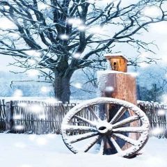 Beautiful Winter Photography Scenery Backdrop Snow Theme Banner YMY-124