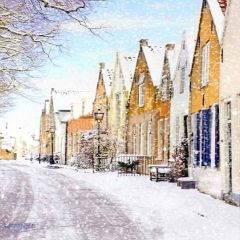 Cold Weather Photography Scenery Backdrop Snow Theme Banner YMY-133