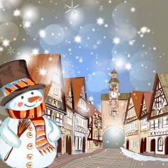 Funny Snowman Photography Scenery Backdrop Christmas Theme Banner YMY-134
