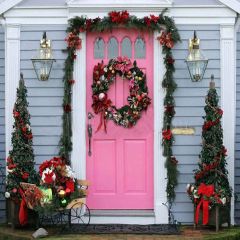 The Pink Door Photography Scenery Backdrop Door Theme Banner YMY-136