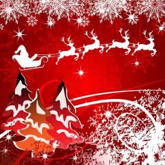 Red  Christmas Photography Scenery Backdrop Christmas Theme Banner YMY-137