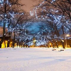 Twinkling Tree Photography Scenery Backdrop Snow Theme Banner YMY-138