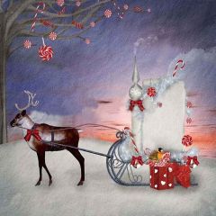 Clever Deer Photography Scenery Backdrop Christmas Theme Banner YMY-140