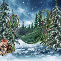 Beautiful Hammock Photography Scenery Backdrop Christmas Theme Banner YMY-146