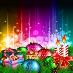Wonderful Day Photography Scenery Backdrop Christmas Theme Banner YMY-149