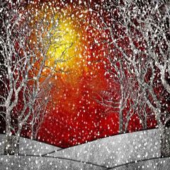 Snow  Fire Photography Scenery Backdrop Snow Theme Banner YMY-157