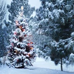 Heavy Snow Photography Scenery Backdrop Snow Theme Banner YMY-162