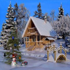 Snow Resort Photography Scenery Backdrop Christmas Theme Banner YMY-163