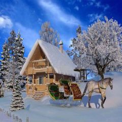 Cute Carriage Photography Scenery Backdrop Christmas Theme Banner YMY-164