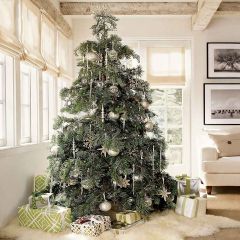 Beautiful Christmas Tree Photography Scenery Backdrop Christmas Theme Banner YMY-167