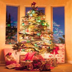 Best Wishes Photography Scenery Backdrop Christmas Theme Banner YMY-173