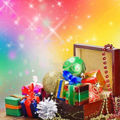 Pleasantly Surprised Photography Scenery Backdrop Christmas Theme Banner YMY-178